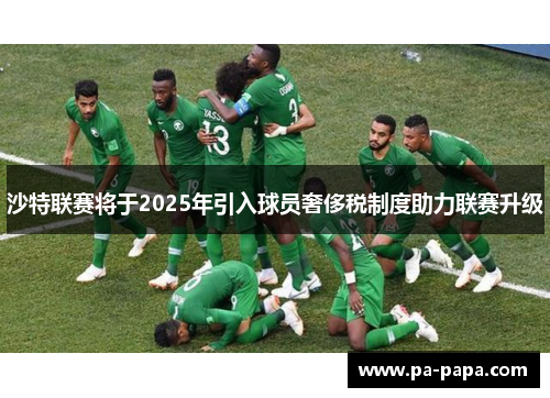沙特联赛将于2025年引入球员奢侈税制度助力联赛升级